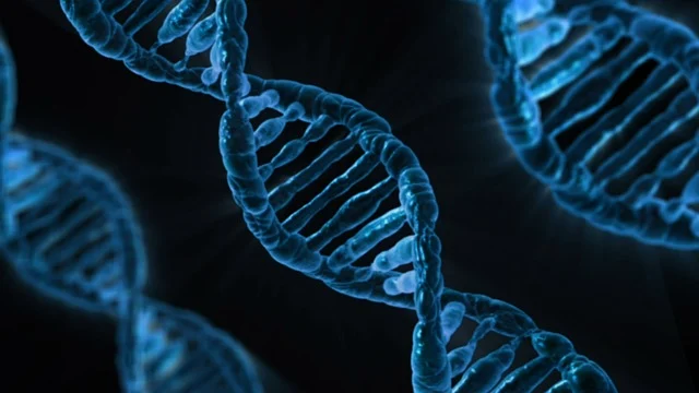 强壮的公次次弄得我高潮A片日本